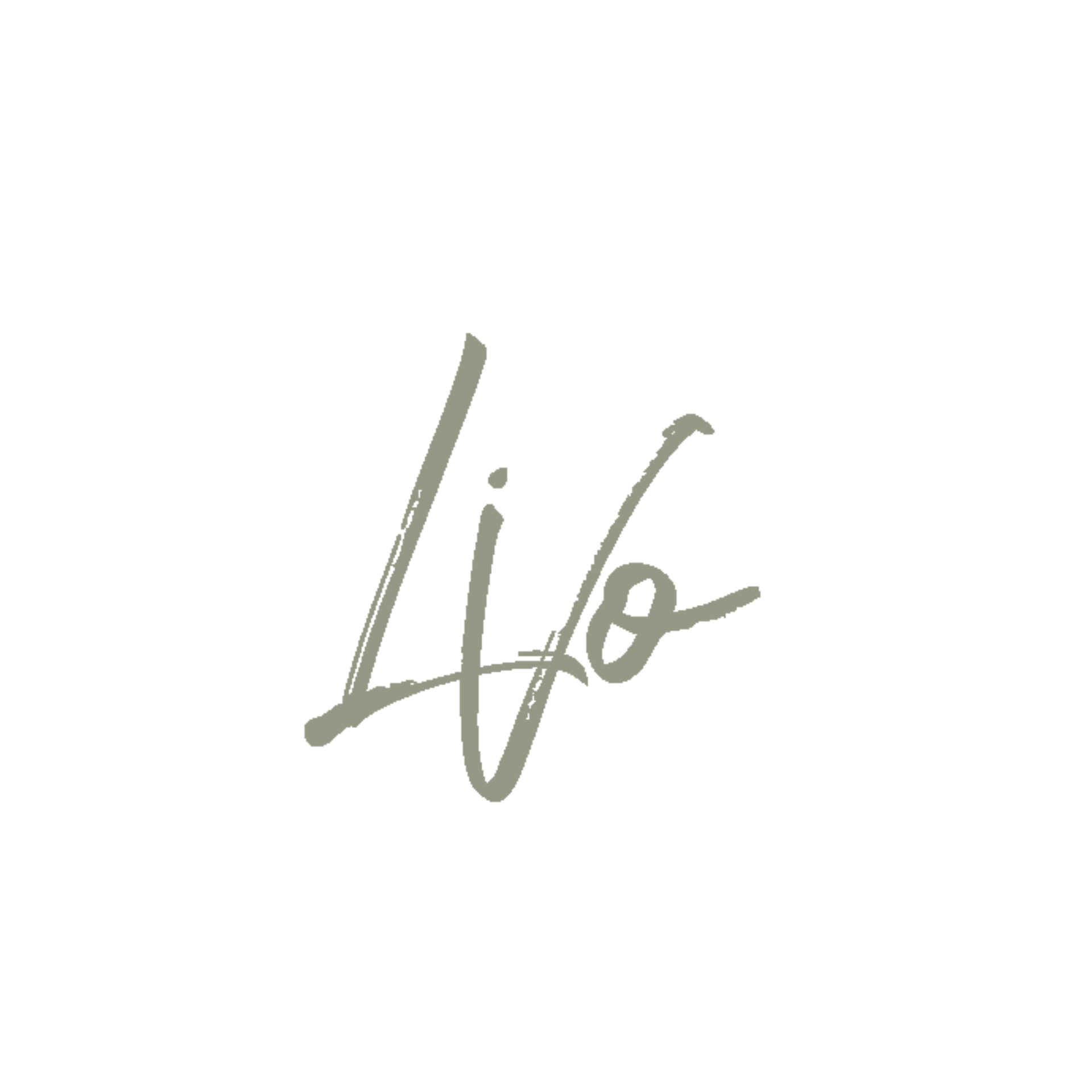 LiVo logo