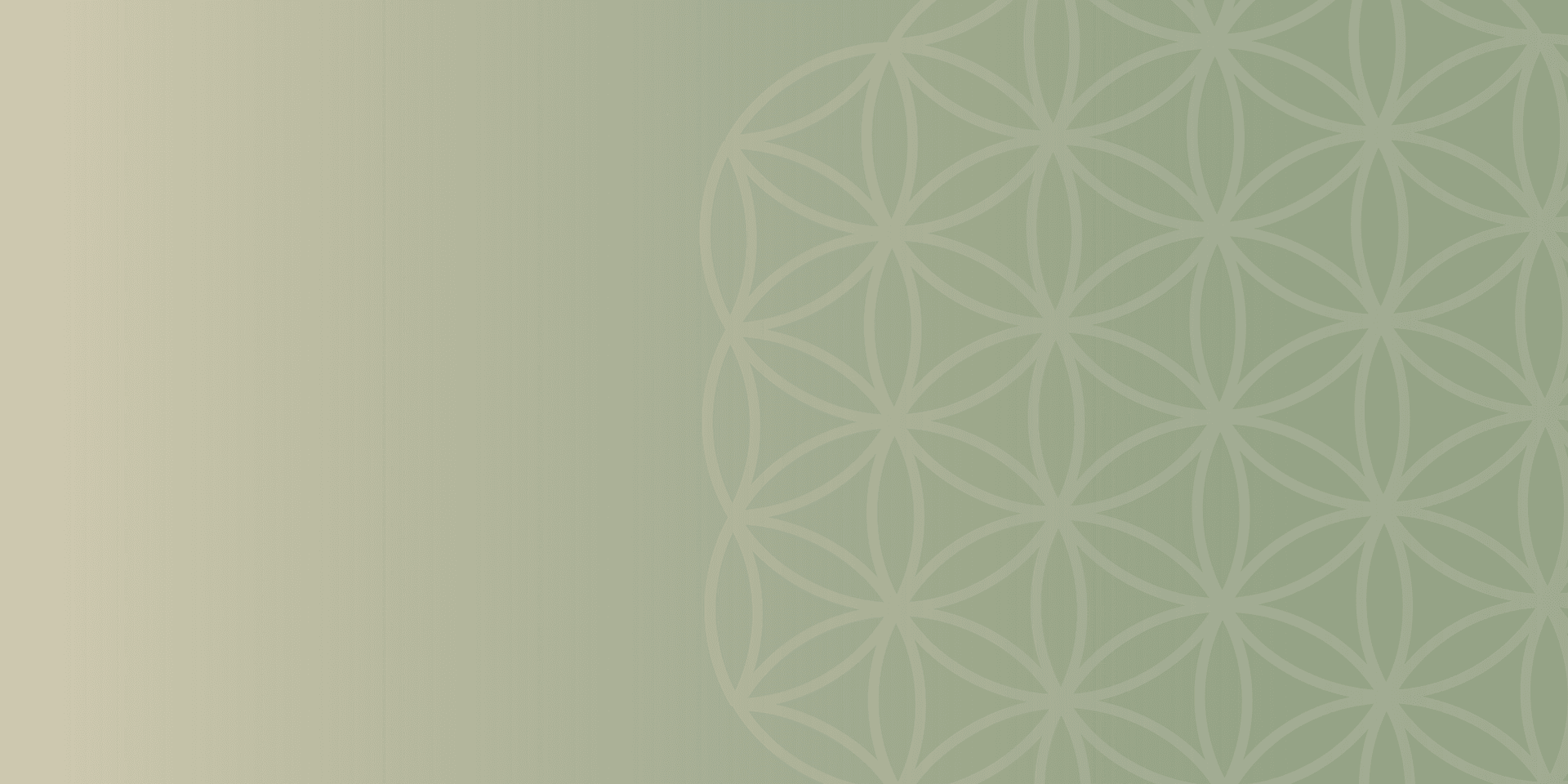 LiVo banner background