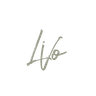 LiVo logo